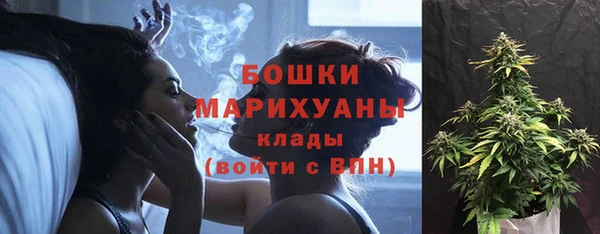 шишки Дмитров