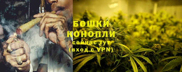 дурь Дмитриев