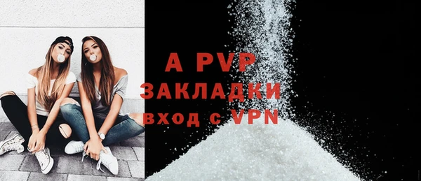 шишки Дмитров